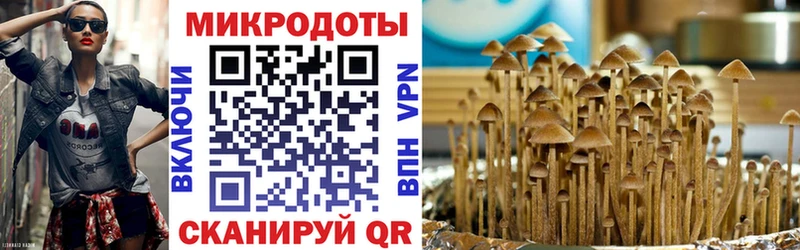 Купить  Красный Кут  Галлюциногенные грибы MAGIC MUSHROOMS 